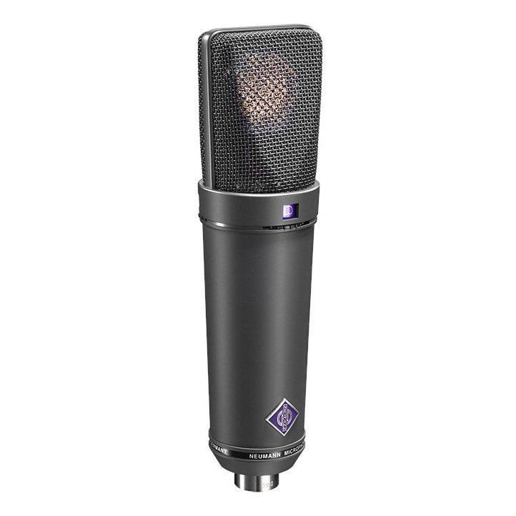 Neumann U89 I Multi-Pattern Studio Condenser Microphone | Color: Black